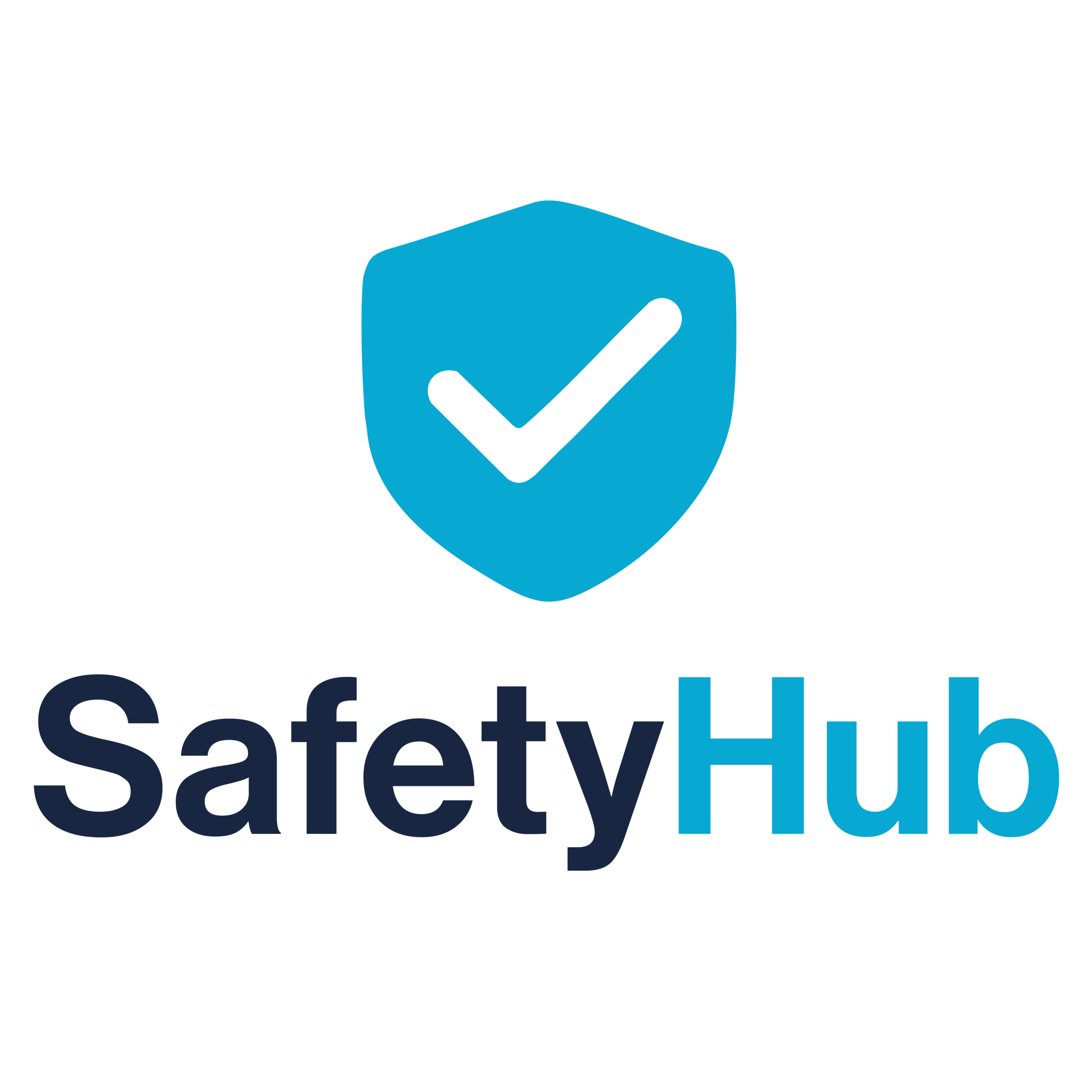 Logo Safety Hub